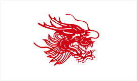 APP中國(guó)紙漿品牌：龍