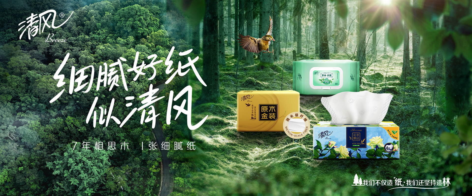 清風(fēng)紙巾